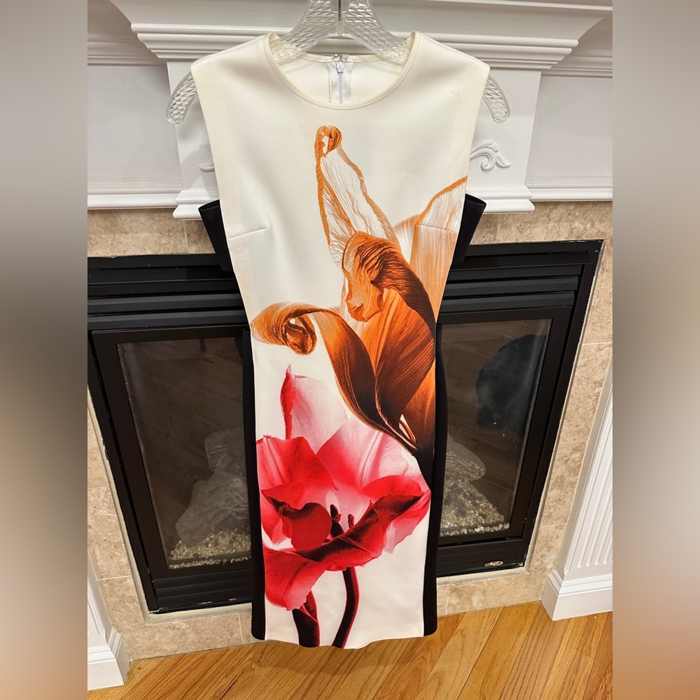 Clover canyon scuba material watercolor dress